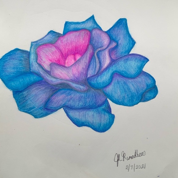 Multicolored Flower Pencil Drawing "Original" - Picture 1 of 3